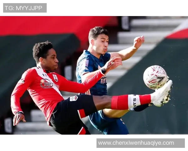 乌迪内斯与佛罗伦萨历史交锋记录分析及战绩回顾